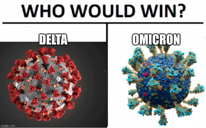 DELTA; OMICRON | image tagged in covid,who would win,hello,yeah they're reading the tags,hi,stop reading the tags | made w/ Imgflip meme maker