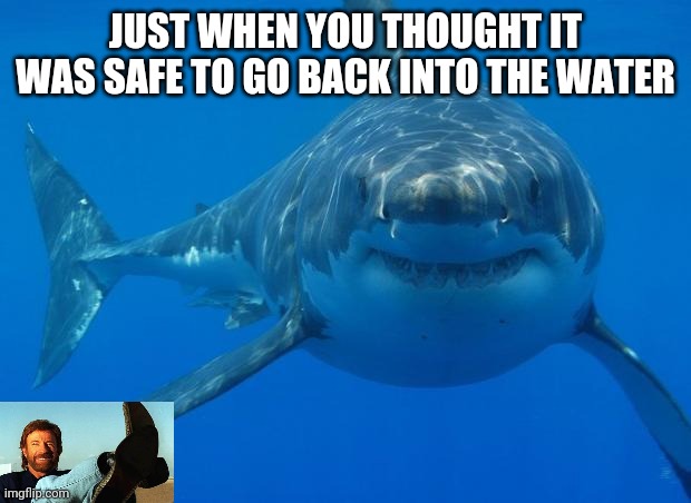 Straight White Shark | JUST WHEN YOU THOUGHT IT WAS SAFE TO GO BACK INTO THE WATER | image tagged in straight white shark | made w/ Imgflip meme maker