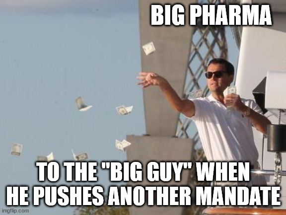 dont stop the money train | BIG PHARMA; TO THE "BIG GUY" WHEN HE PUSHES ANOTHER MANDATE | image tagged in leonardo dicaprio throwing money | made w/ Imgflip meme maker