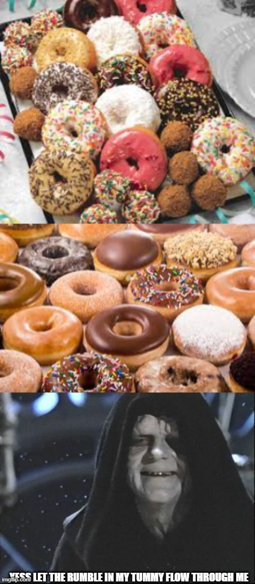 Donuts! |  YESS LET THE RUMBLE IN MY TUMMY FLOW THROUGH ME | image tagged in yess let the hate flow through you,donuts | made w/ Imgflip meme maker