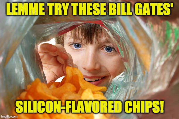 LEMME TRY THESE BILL GATES' SILICON-FLAVORED CHIPS! | made w/ Imgflip meme maker