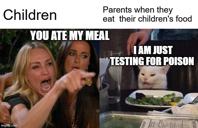 Kids vs Parents | Children; Parents when they eat  their children's food; YOU ATE MY MEAL; I AM JUST TESTING FOR POISON | image tagged in memes,woman yelling at cat | made w/ Imgflip meme maker