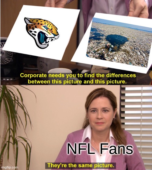 jaguars | NFL Fans | image tagged in memes,they're the same picture | made w/ Imgflip meme maker