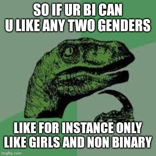 I think i said that right |  SO IF UR BI CAN U LIKE ANY TWO GENDERS; LIKE FOR INSTANCE ONLY LIKE GIRLS AND NON BINARY | image tagged in dinosaur | made w/ Imgflip meme maker
