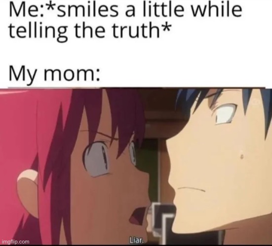 Liar | image tagged in anime | made w/ Imgflip meme maker