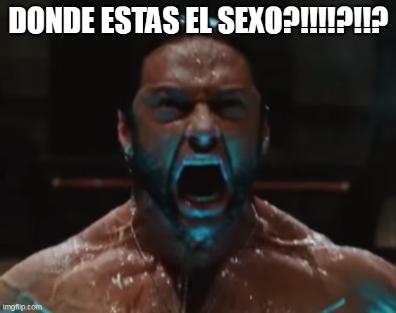 QUIERO SEXOOOOO | DONDE ESTAS EL SEXO?!!!!?!!? | image tagged in memes,wolverine | made w/ Imgflip meme maker