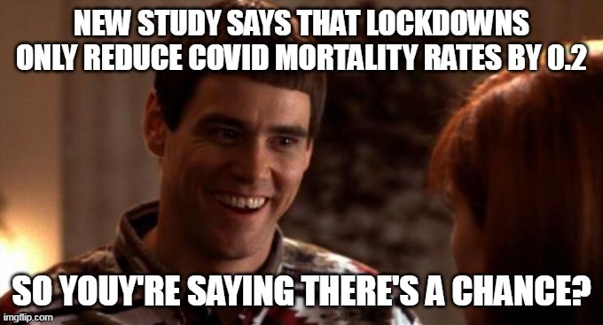 Lockdowns have destroyed more lives than we know of, and they were useless. | image tagged in liberal logic,stupid liberals,democrats,useless,evil | made w/ Imgflip meme maker