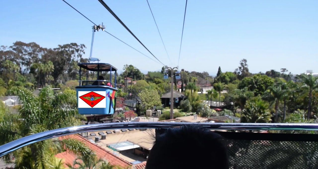 Third MAW Takes Over SD Zoo Blank Meme Template