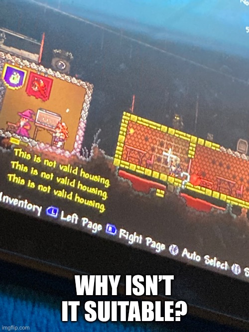 Not suitable? | WHY ISN’T IT SUITABLE? | image tagged in terraria | made w/ Imgflip meme maker