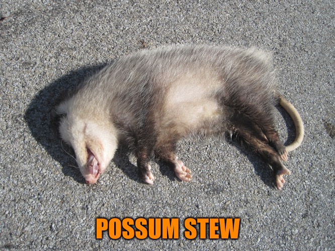 Roadkill opossum | POSSUM STEW | image tagged in roadkill opossum | made w/ Imgflip meme maker