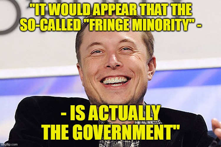 Liberals in high ranking gov't positions become petty tyrants immediately upon entering office. | "IT WOULD APPEAR THAT THE SO-CALLED "FRINGE MINORITY" -; - IS ACTUALLY THE GOVERNMENT" | image tagged in elon musk,meanwhile in canada,protests,trucker | made w/ Imgflip meme maker
