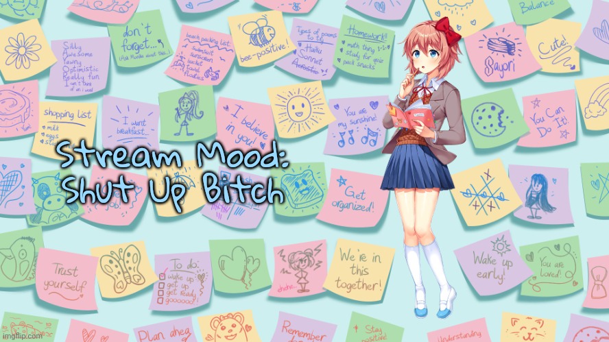 My Confession | Stream Mood: Shut Up Bitch | image tagged in my confession | made w/ Imgflip meme maker