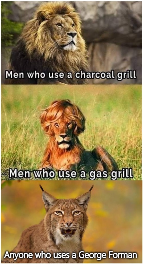 Men who use BBQ | Anyone who uses a George Forman | image tagged in bbq,lion,gas,charcoal | made w/ Imgflip meme maker