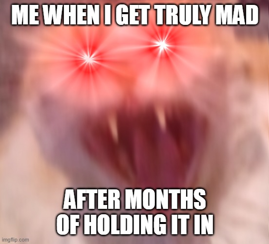 ME VERY MAD | ME WHEN I GET TRULY MAD; AFTER MONTHS OF HOLDING IT IN | image tagged in angry cat,mad,cats,cat explosion | made w/ Imgflip meme maker