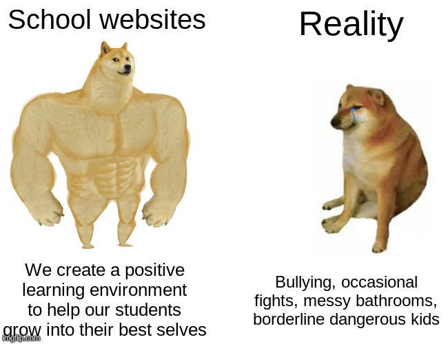 So much for not lying... | School websites; Reality; We create a positive learning environment to help our students grow into their best selves; Bullying, occasional fights, messy bathrooms, borderline dangerous kids | image tagged in memes,buff doge vs cheems,relatable,it do be true tho,politics lol | made w/ Imgflip meme maker