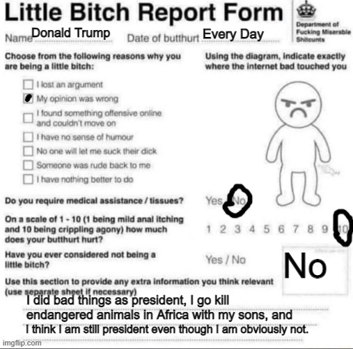 Look at this Little Bitch Report Form I made for Trump | Donald Trump; Every Day; No; I did bad things as president, I go kill endangered animals in Africa with my sons, and; I think I am still president even though I am obviously not. | image tagged in little bitch report form,donald trump is an idiot,political,political memes,politics,american politics | made w/ Imgflip meme maker