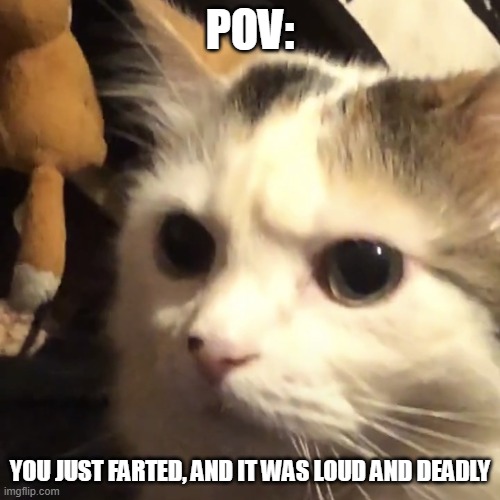 Dis-gusting | POV:; YOU JUST FARTED, AND IT WAS LOUD AND DEADLY | image tagged in frowny kat,fart jokes,pov | made w/ Imgflip meme maker