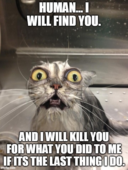 you will pay dearly | HUMAN... I WILL FIND YOU. AND I WILL KILL YOU FOR WHAT YOU DID TO ME IF ITS THE LAST THING I DO. | image tagged in mad cat,revenge | made w/ Imgflip meme maker