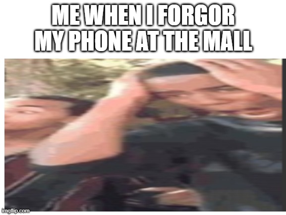 feel free to screen snip this | ME WHEN I FORGOR MY PHONE AT THE MALL | image tagged in memes | made w/ Imgflip meme maker