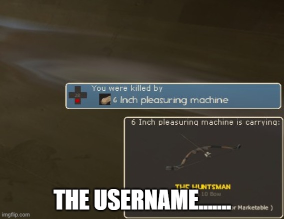 THE USERNAME....... | image tagged in the username | made w/ Imgflip meme maker