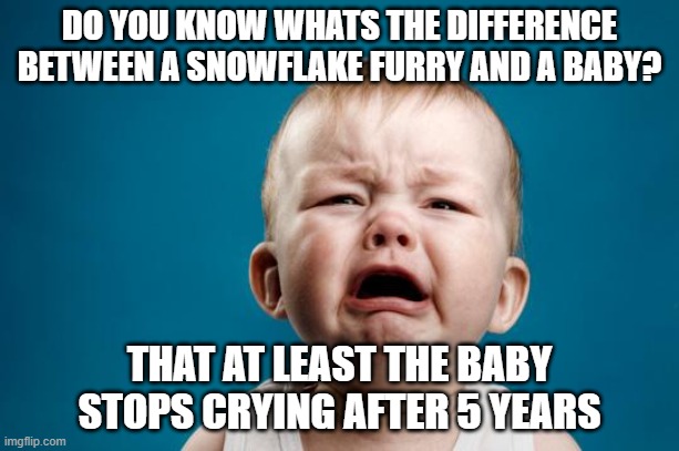 Snowflake furries who cannot take jokes and dark humor are cringe: | DO YOU KNOW WHATS THE DIFFERENCE BETWEEN A SNOWFLAKE FURRY AND A BABY? THAT AT LEAST THE BABY STOPS CRYING AFTER 5 YEARS | image tagged in baby crying,snowflakes,anti furry | made w/ Imgflip meme maker