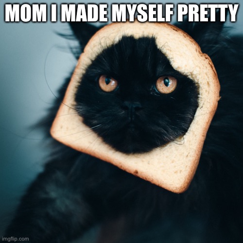 depression. | MOM I MADE MYSELF PRETTY | image tagged in cats | made w/ Imgflip meme maker