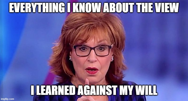 The View | EVERYTHING I KNOW ABOUT THE VIEW; I LEARNED AGAINST MY WILL | image tagged in joy behar,the view,politics lol,politics suck,whoopi goldberg | made w/ Imgflip meme maker