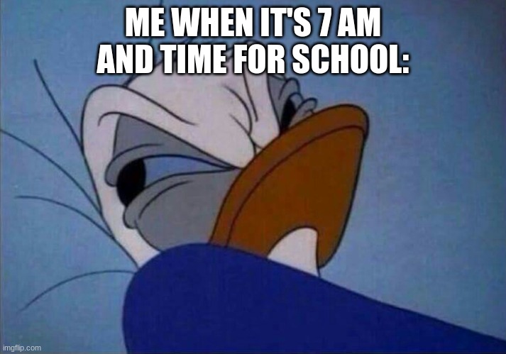 I think I might go back to sleep | ME WHEN IT'S 7 AM AND TIME FOR SCHOOL: | image tagged in angry donald duck | made w/ Imgflip meme maker