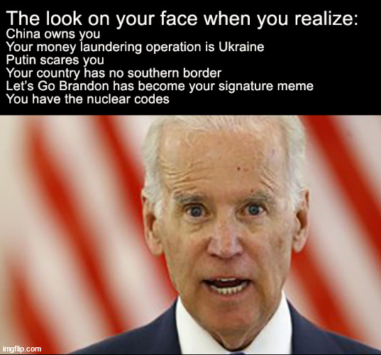 The look on your face when you realize | image tagged in memes,funnt,political,biden | made w/ Imgflip meme maker