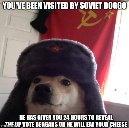 Can't tell if this is upvote begging or not? | YOU'VE BEEN VISITED BY SOVIET DOGGO; HE HAS GIVEN YOU 24 HOURS TO REVEAL THE UP VOTE BEGGARS OR HE WILL EAT YOUR CHEESE | image tagged in russian doge | made w/ Imgflip meme maker