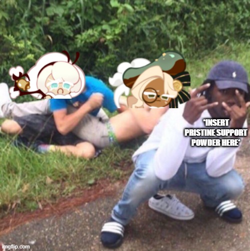 If you play crk and use 2 cookies of the same class, then u probably relate to this | *INSERT PRISTINE SUPPORT POWDER HERE* | image tagged in 2 people fighting | made w/ Imgflip meme maker