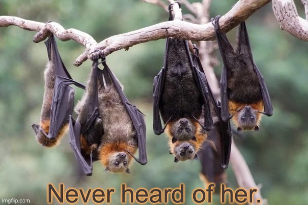 Bats Shrugging Upside Down | Never heard of her. | image tagged in bats shrugging upside down | made w/ Imgflip meme maker