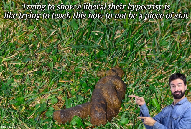 Trying to show a liberal their hypocrisy is like trying to teach this how to not be a piece of shit | image tagged in liberal peice of shit | made w/ Imgflip meme maker