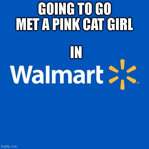 this was what drepmpt today | GOING TO GO MET A PINK CAT GIRL; IN | image tagged in walmart life | made w/ Imgflip meme maker