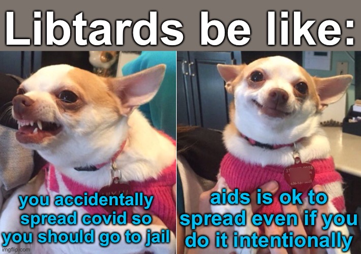 aids affects you for your whole life, covid affects you for a maximum of a month | Libtards be like:; you accidentally spread covid so you should go to jail; aids is ok to spread even if you do it intentionally | image tagged in oh wow are you actually reading these tags | made w/ Imgflip meme maker