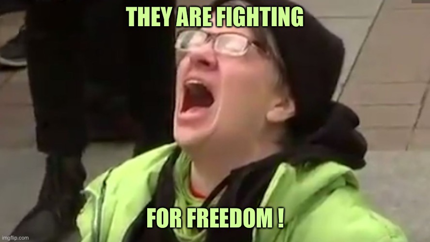 Screaming Liberal  | THEY ARE FIGHTING FOR FREEDOM ! | image tagged in screaming liberal | made w/ Imgflip meme maker