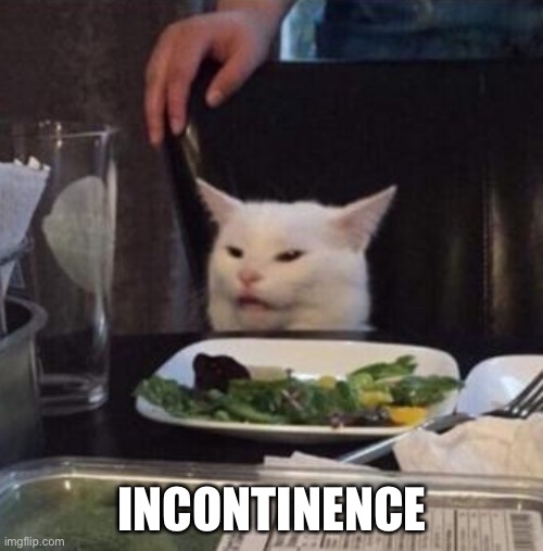 Annoyed White Cat | INCONTINENCE | image tagged in annoyed white cat | made w/ Imgflip meme maker