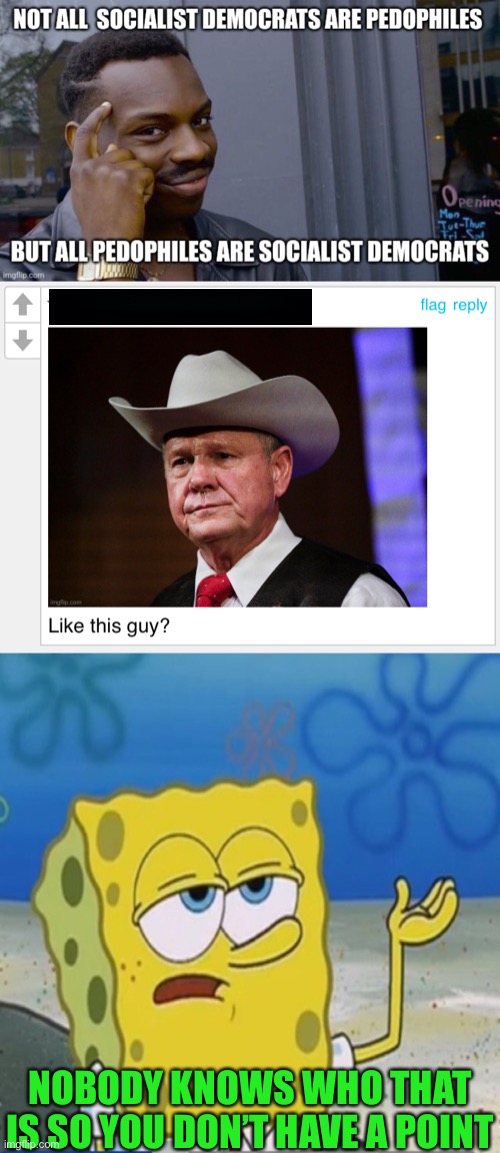 NOBODY KNOWS WHO THAT IS SO YOU DON’T HAVE A POINT | image tagged in spongebob whatever,liberal hypocrisy,oh wow are you actually reading these tags | made w/ Imgflip meme maker