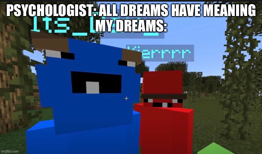 Kier dev and boosfer | PSYCHOLOGIST: ALL DREAMS HAVE MEANING
MY DREAMS: | image tagged in minecraft | made w/ Imgflip meme maker