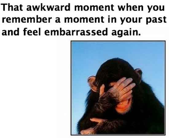 image tagged in funny,animals