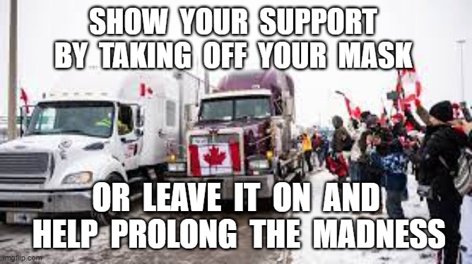 SHOW  YOUR  SUPPORT  BY  TAKING  OFF  YOUR  MASK; OR  LEAVE  IT  ON  AND  HELP  PROLONG  THE  MADNESS | image tagged in truckers protest,freedom rally,plandemic,canadian truckers | made w/ Imgflip meme maker