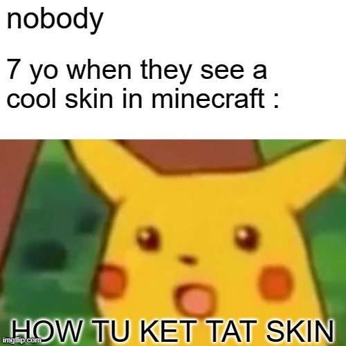 Surprised Pikachu | nobody; 7 yo when they see a cool skin in minecraft :; HOW TU KET TAT SKIN | image tagged in memes,surprised pikachu | made w/ Imgflip meme maker