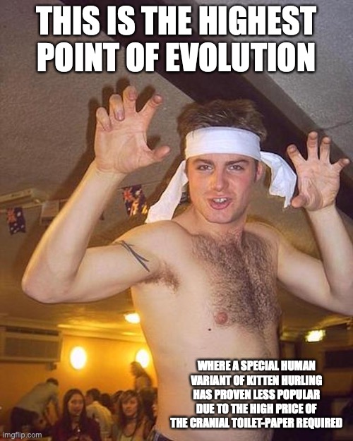 Kitten Hurler | THIS IS THE HIGHEST POINT OF EVOLUTION; WHERE A SPECIAL HUMAN VARIANT OF KITTEN HURLING HAS PROVEN LESS POPULAR DUE TO THE HIGH PRICE OF THE CRANIAL TOILET-PAPER REQUIRED | image tagged in memes,funny | made w/ Imgflip meme maker