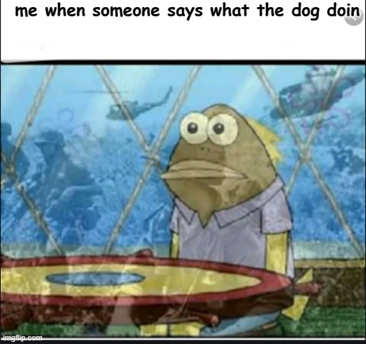 PTSD Fish | me when someone says what the dog doin | image tagged in ptsd fish | made w/ Imgflip meme maker