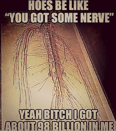 I DO GOT SOME NERVE Blank Meme Template