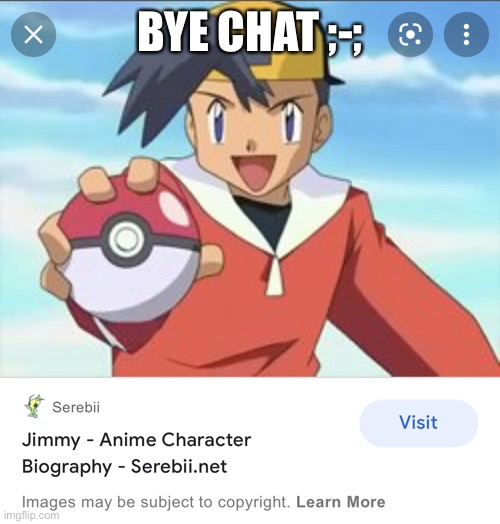 see you tomorrow :-; | BYE CHAT ;-; | image tagged in im in pokemon | made w/ Imgflip meme maker