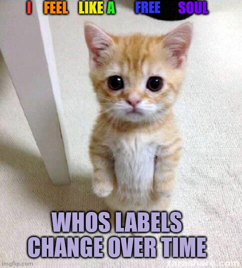 This relates to my previous post, I feel like im in the lgtbq spectrum |  I; FEEL; LIKE; A; FREE; SOUL; WHOS LABELS CHANGE OVER TIME | image tagged in memes,cute cat | made w/ Imgflip meme maker