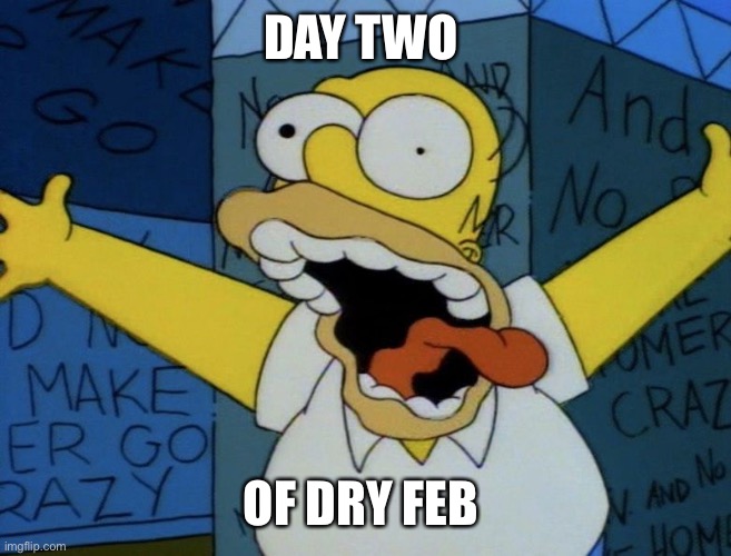 Dry February | DAY TWO; OF DRY FEB | image tagged in beer | made w/ Imgflip meme maker