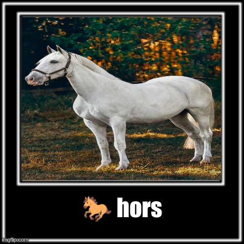 They do be runnin doe | 🐎 hors | image tagged in animal,horse,what how | made w/ Imgflip meme maker