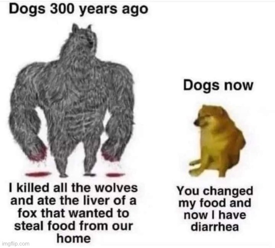 Dogs 300 years ago | image tagged in dogs 300 years ago | made w/ Imgflip meme maker